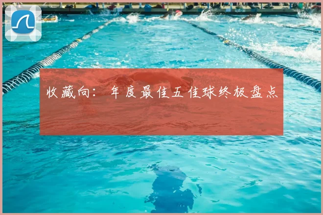 收藏向：年度最佳五佳球终极盘点
