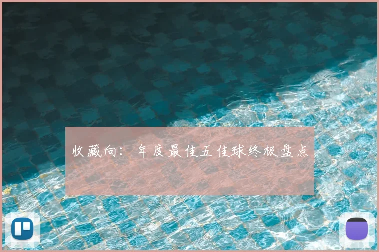 收藏向:年度最佳五佳球终极盘点